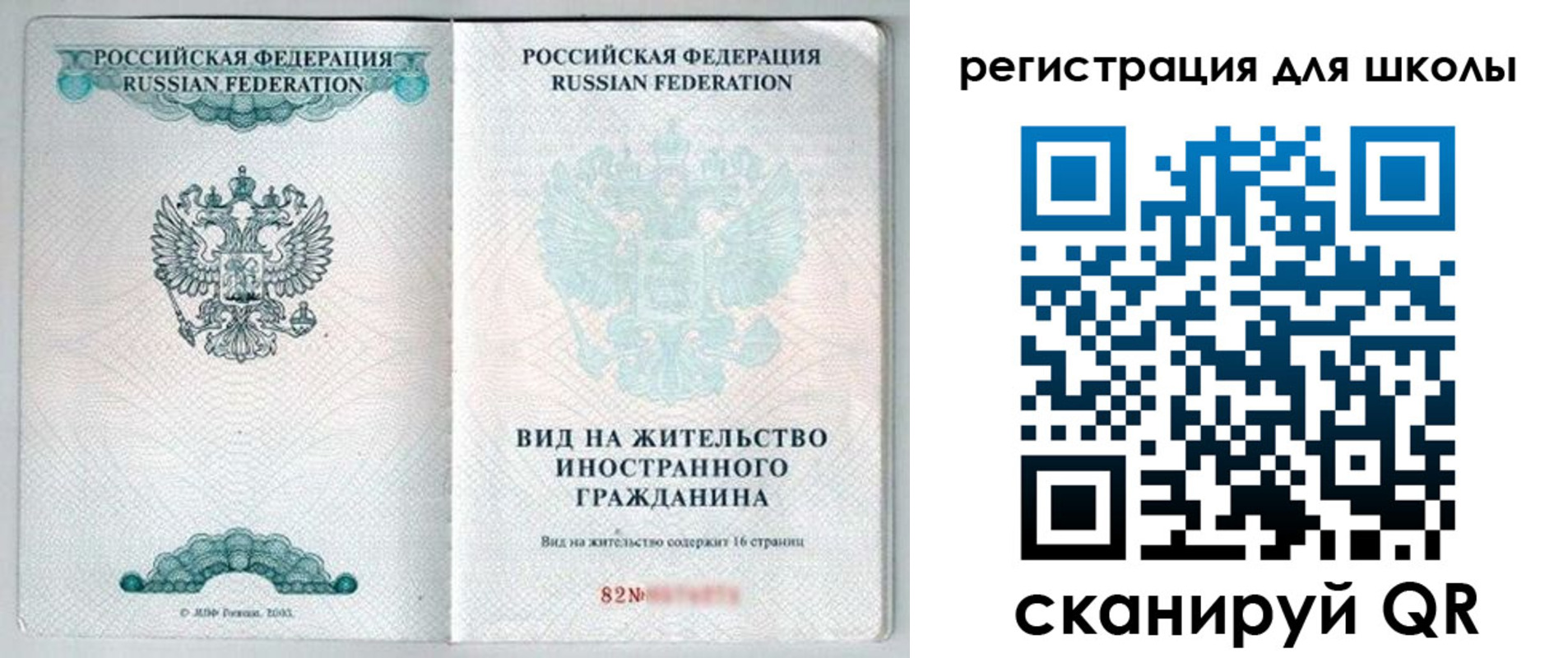 прописка гарантия в Лесном